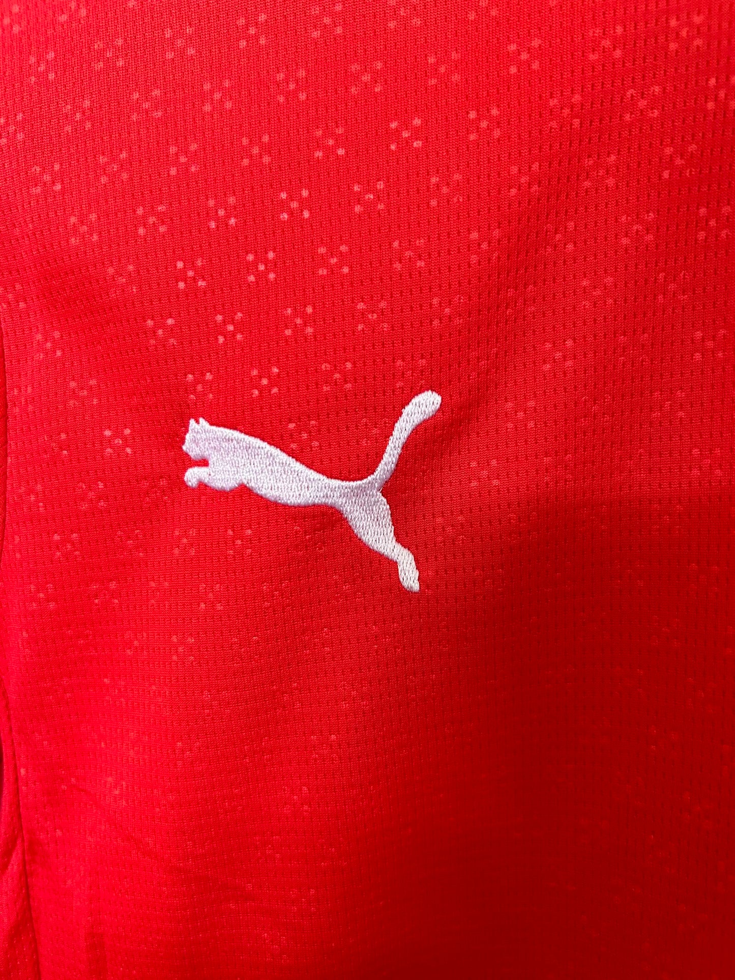 Jersey Portugal 2025 Local Versión para Aficionado